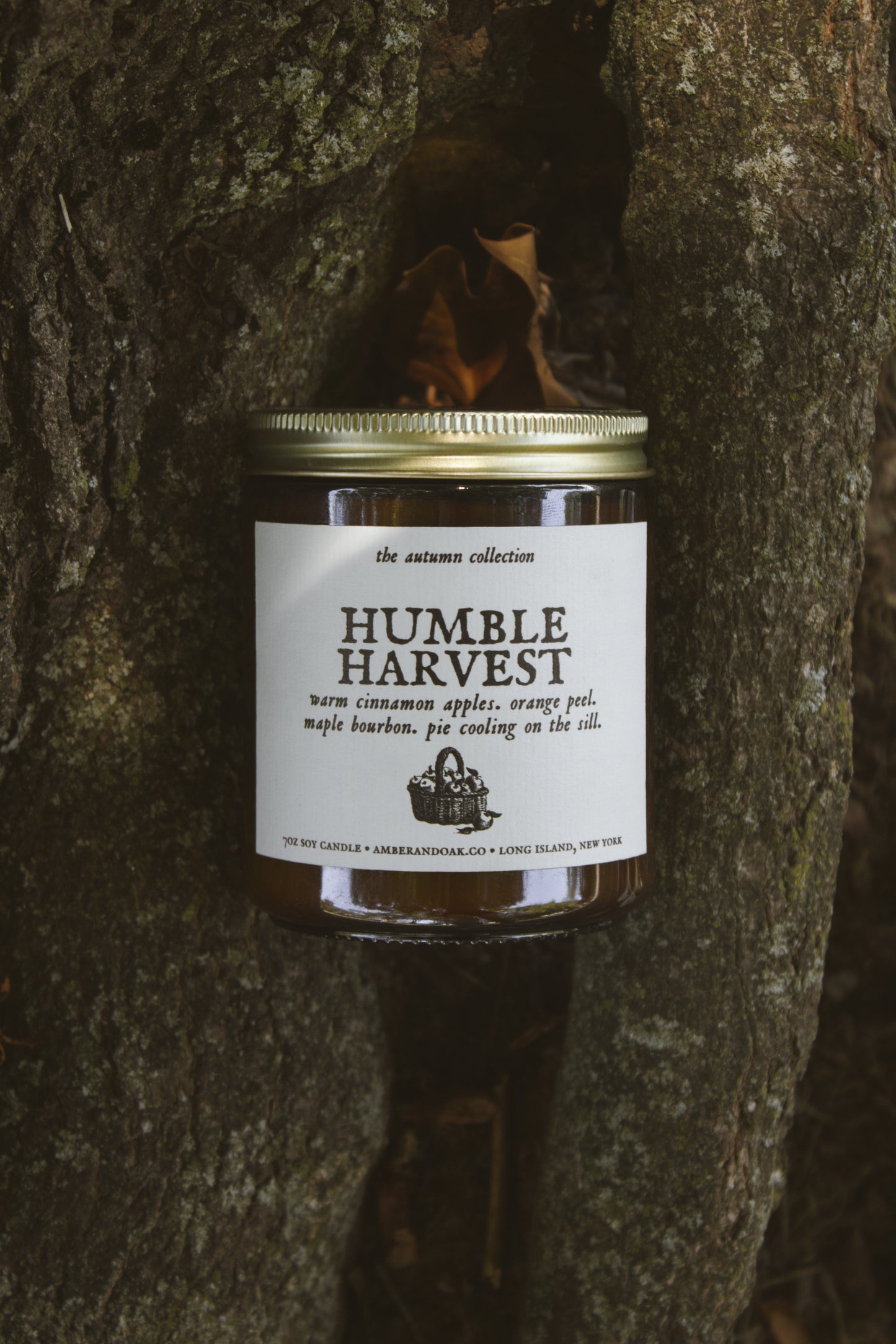 Humble Harvest 7oz Soy Candle