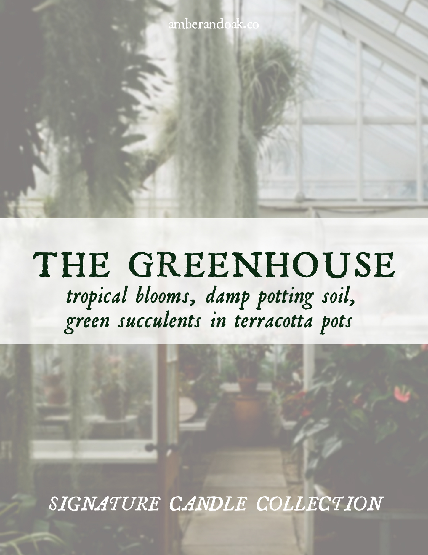 The Greenhouse Double Wick 12 oz Candle