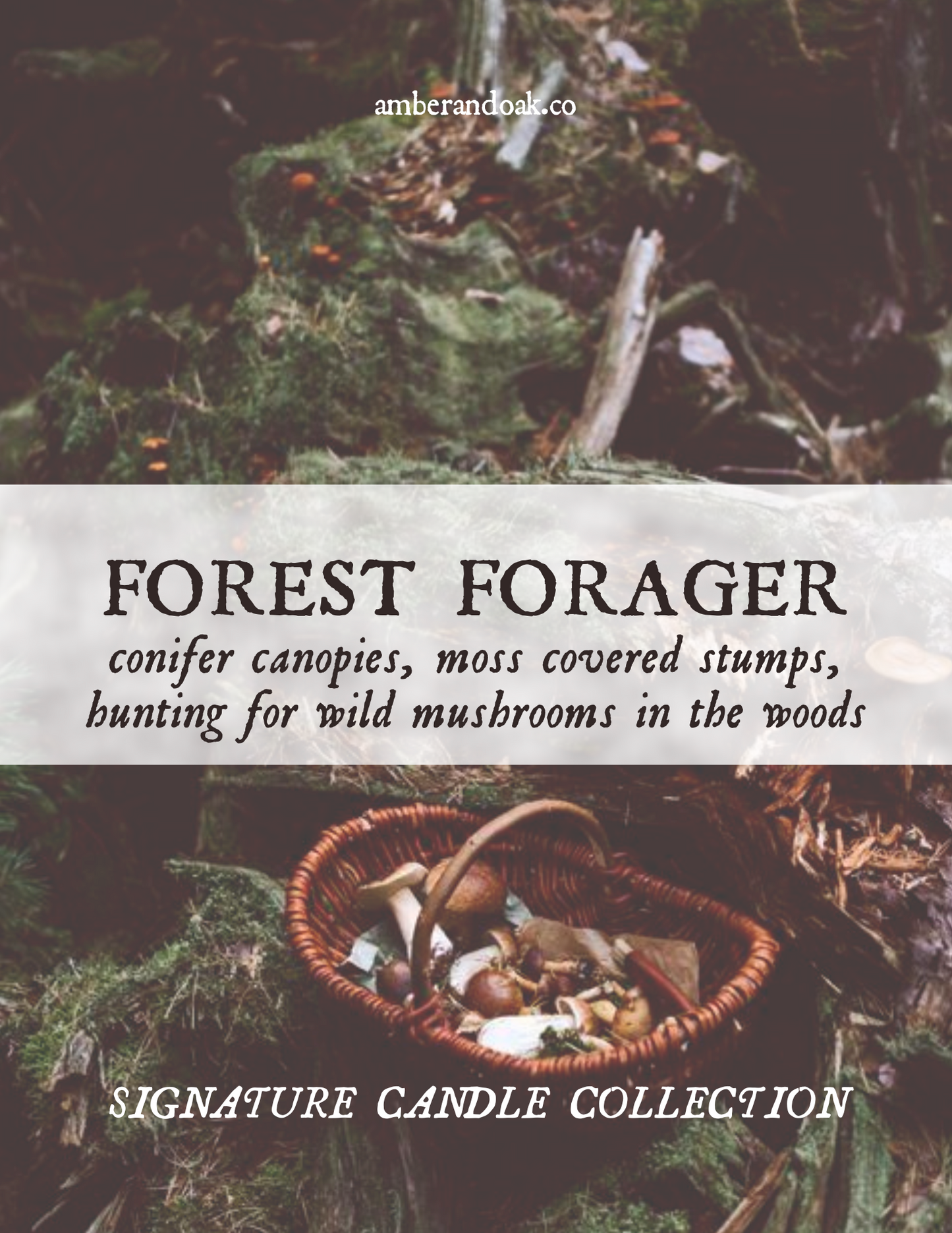 Forest Forager 7oz Candle