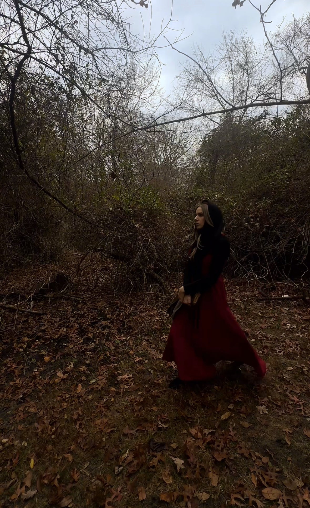 Storylight Society Subscription