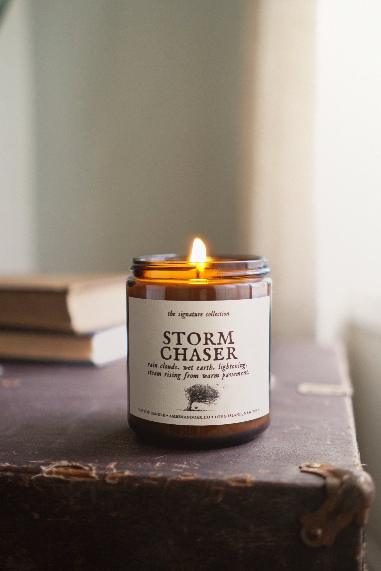 Storm Chaser 7oz Candle