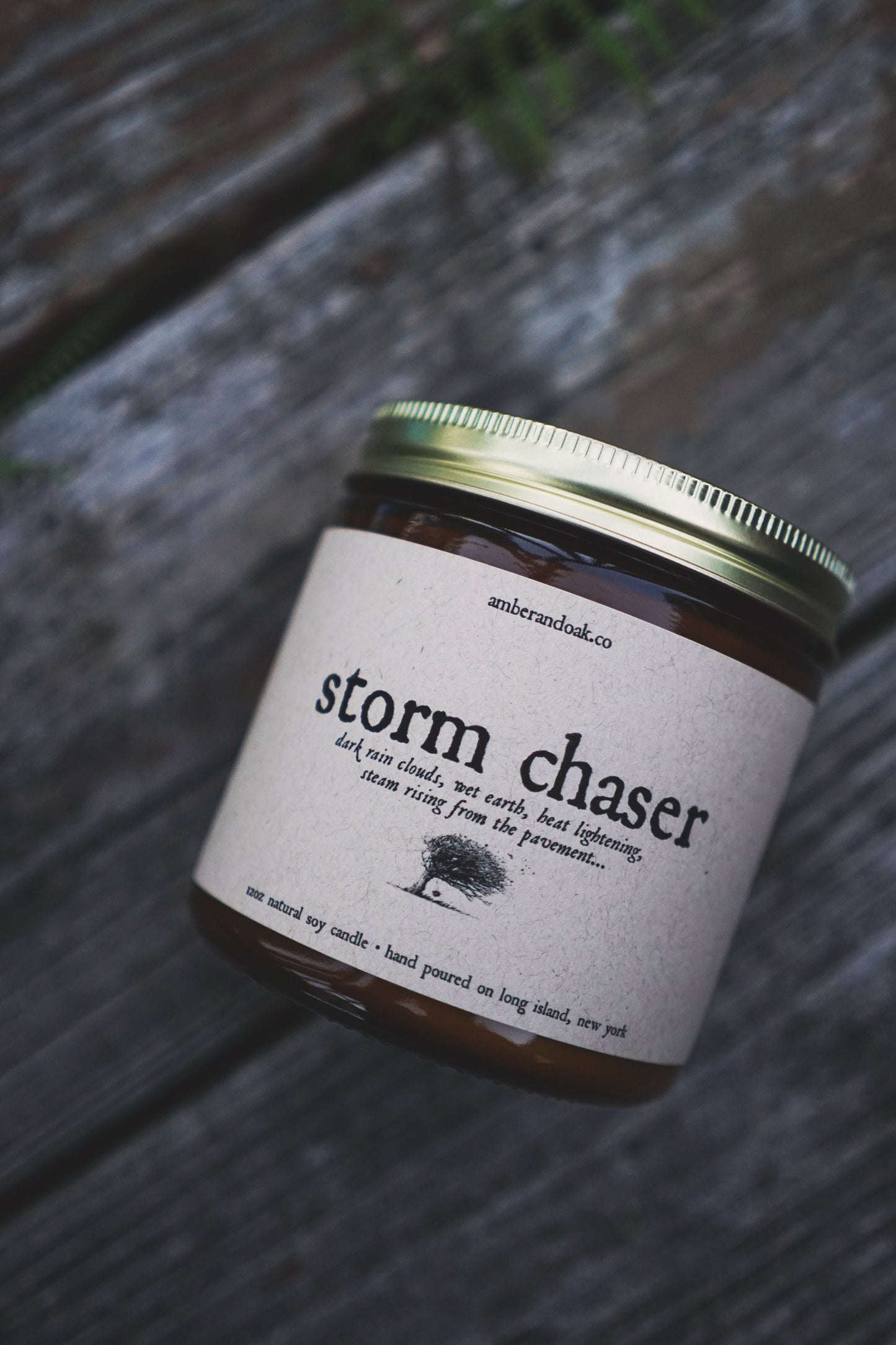 a large two wick amber jar soy wax candle with a kraft rectangular label that reads "storm chaser, dark rain clouds, wet earth, heat lightening steam rising from the pavement" in black ink, followed by a drawing of a tree blowing in stormy winds. It has a gold lid. 